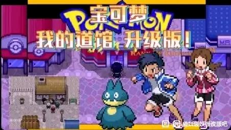 宝可梦：我的道馆